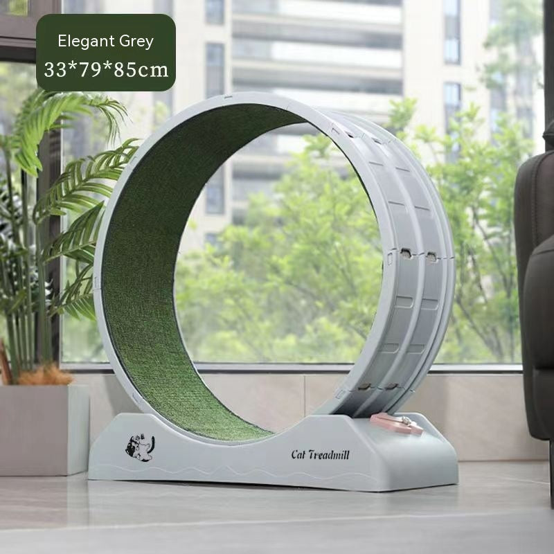 Cat Silent Roller Treadmill Exercise Treyfe