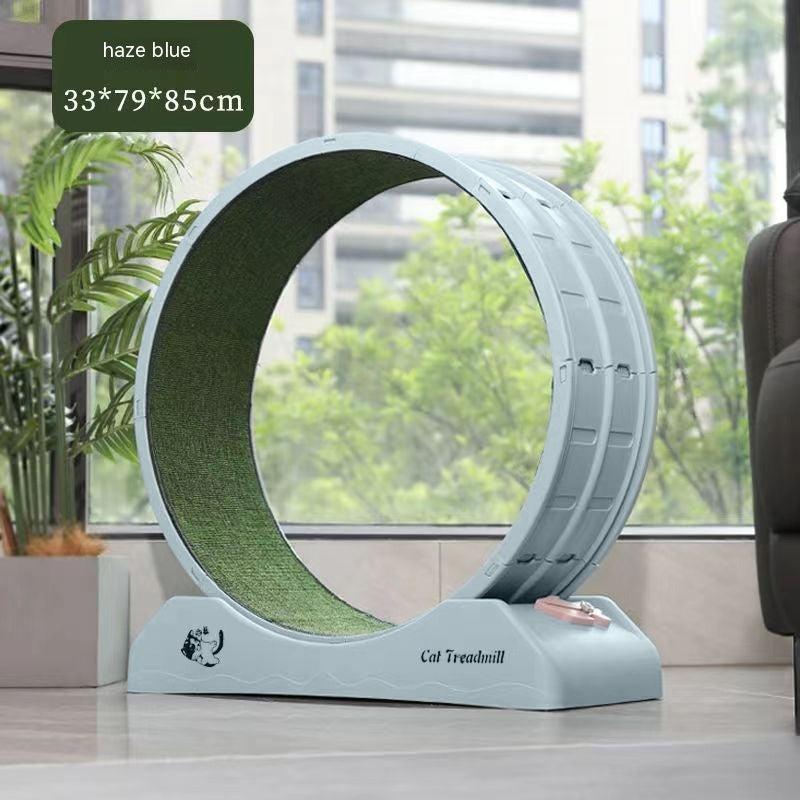 Cat Silent Roller Treadmill Exercise Treyfe