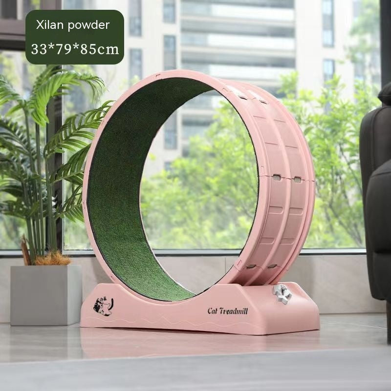 Cat Silent Roller Treadmill Exercise Treyfe
